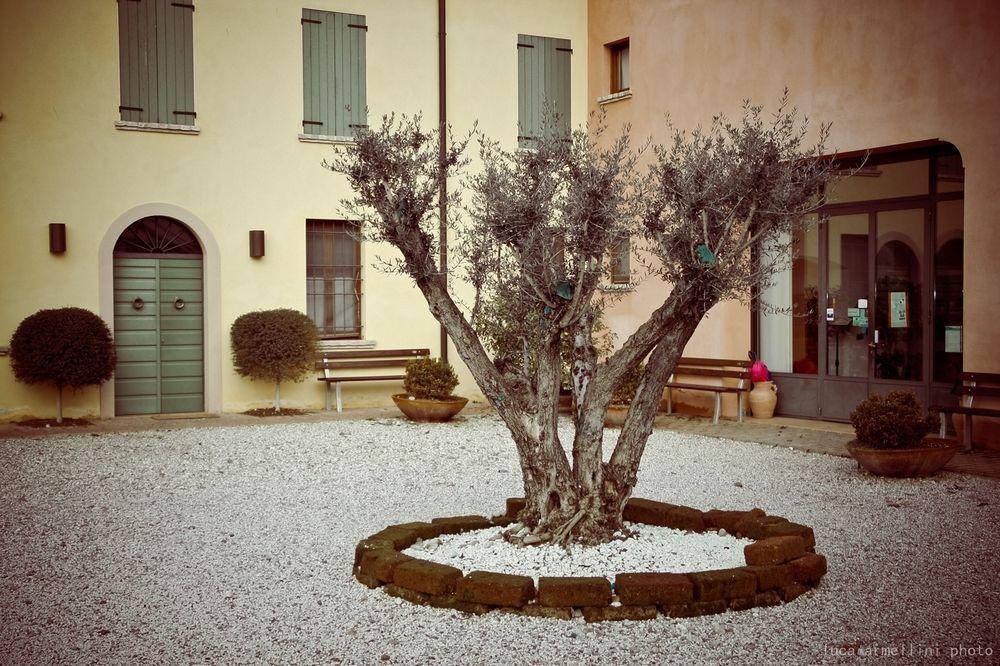 Agriturismo Cascina Boschi Apartman Volta Mantovana Kültér fotó